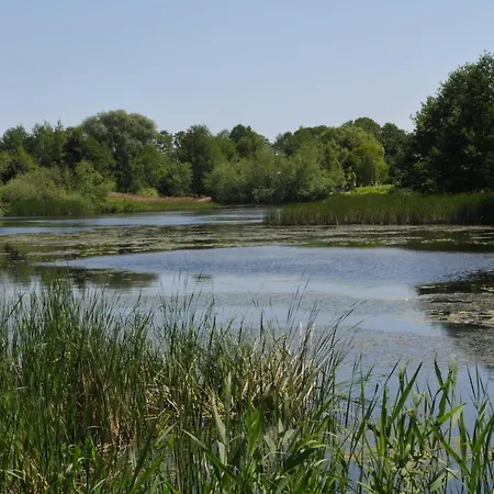 Przy Plazy. 아파트