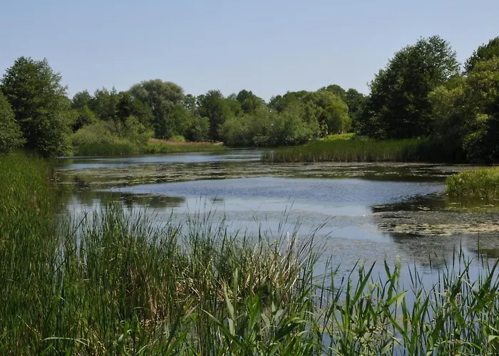 Przy Plazy. Appartamento